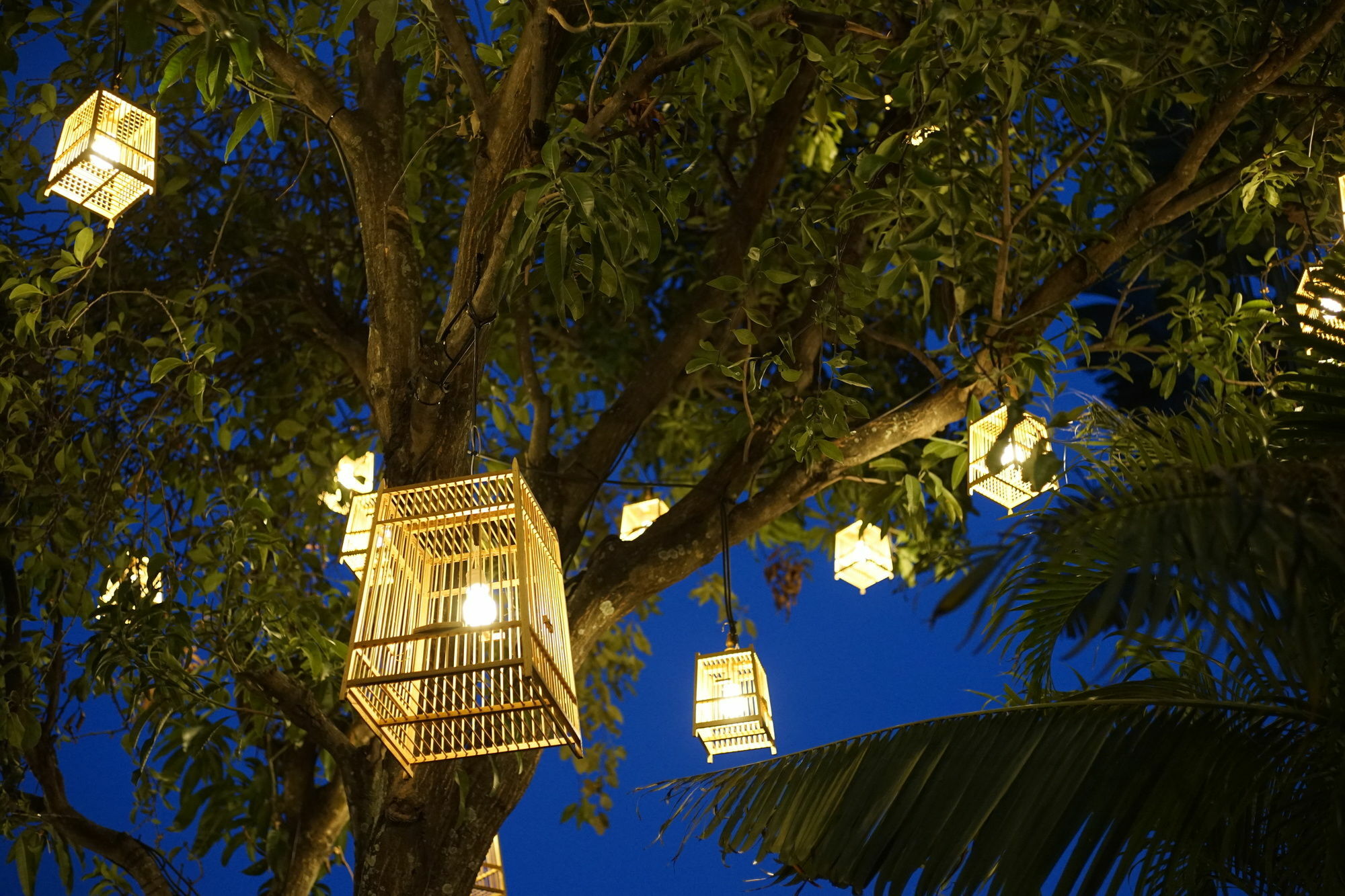 Villa 88 Nimman-Chiang Mai Esterno foto